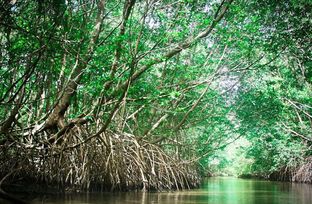 resize - 2021-03-08T143911.134