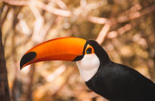 resize - 2021-03-08T151947.822