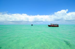 resize - 2021-04-06T182153.580